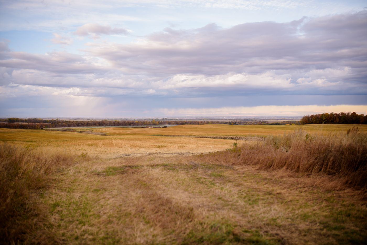 Prairie landscape under a heavy sky